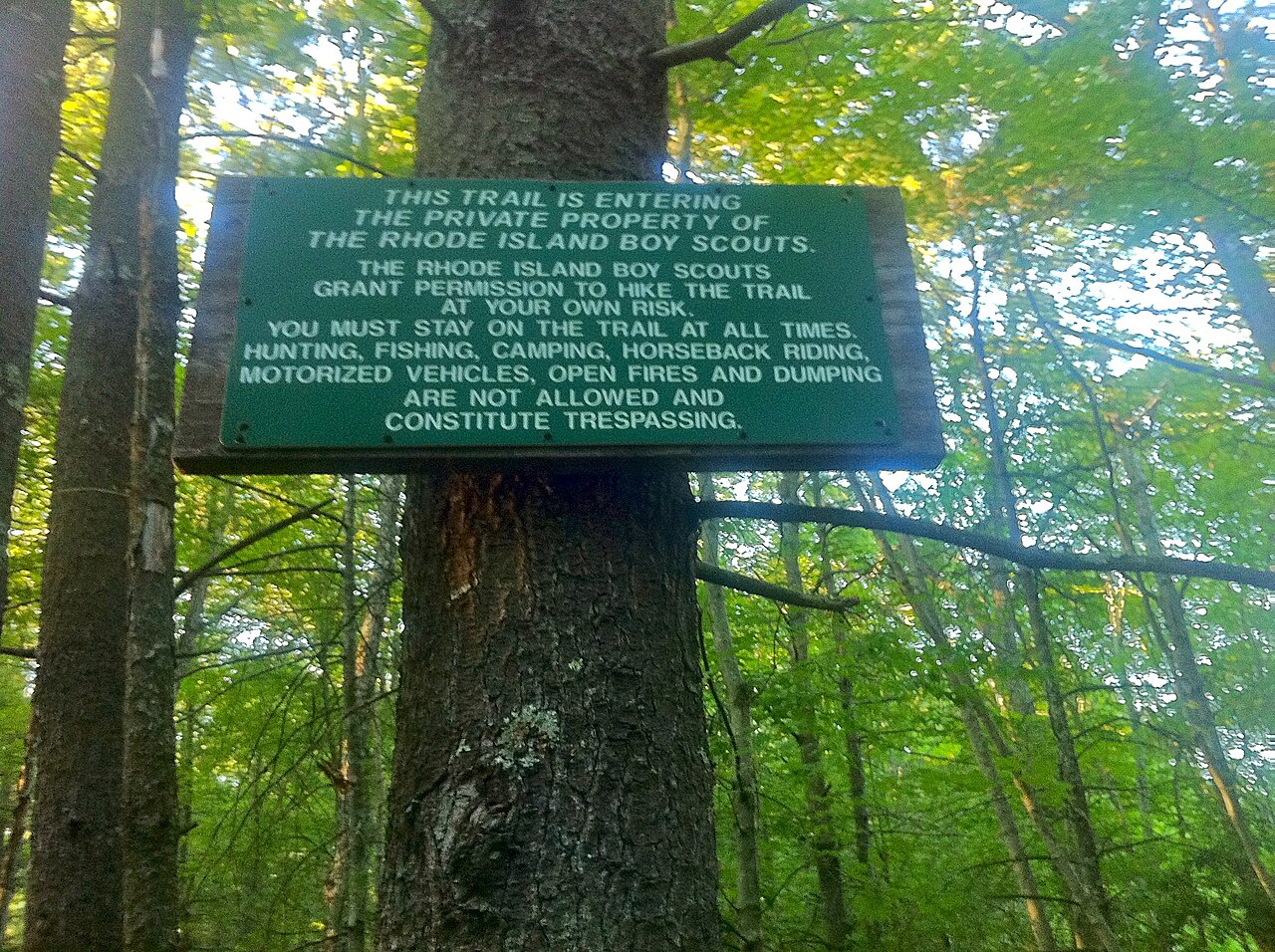 Hidden Lake Trail