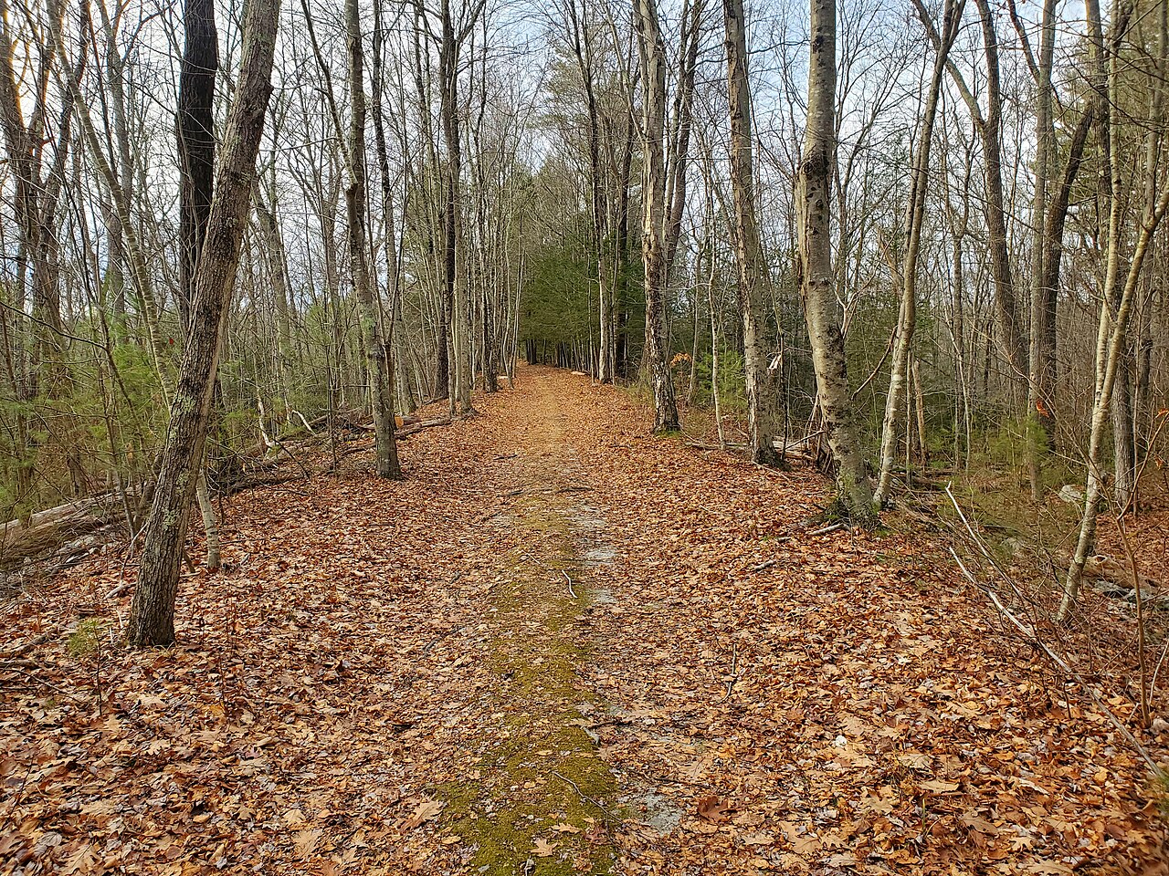 Grand Trunk Trail