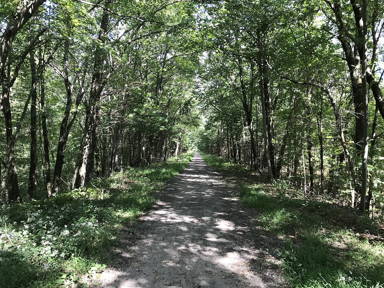 Morse Avenue