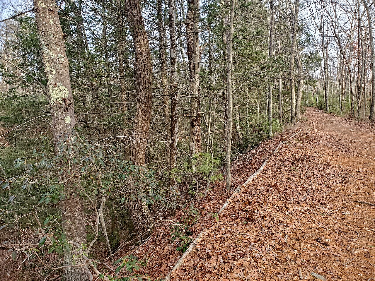 Hay Ride Trail