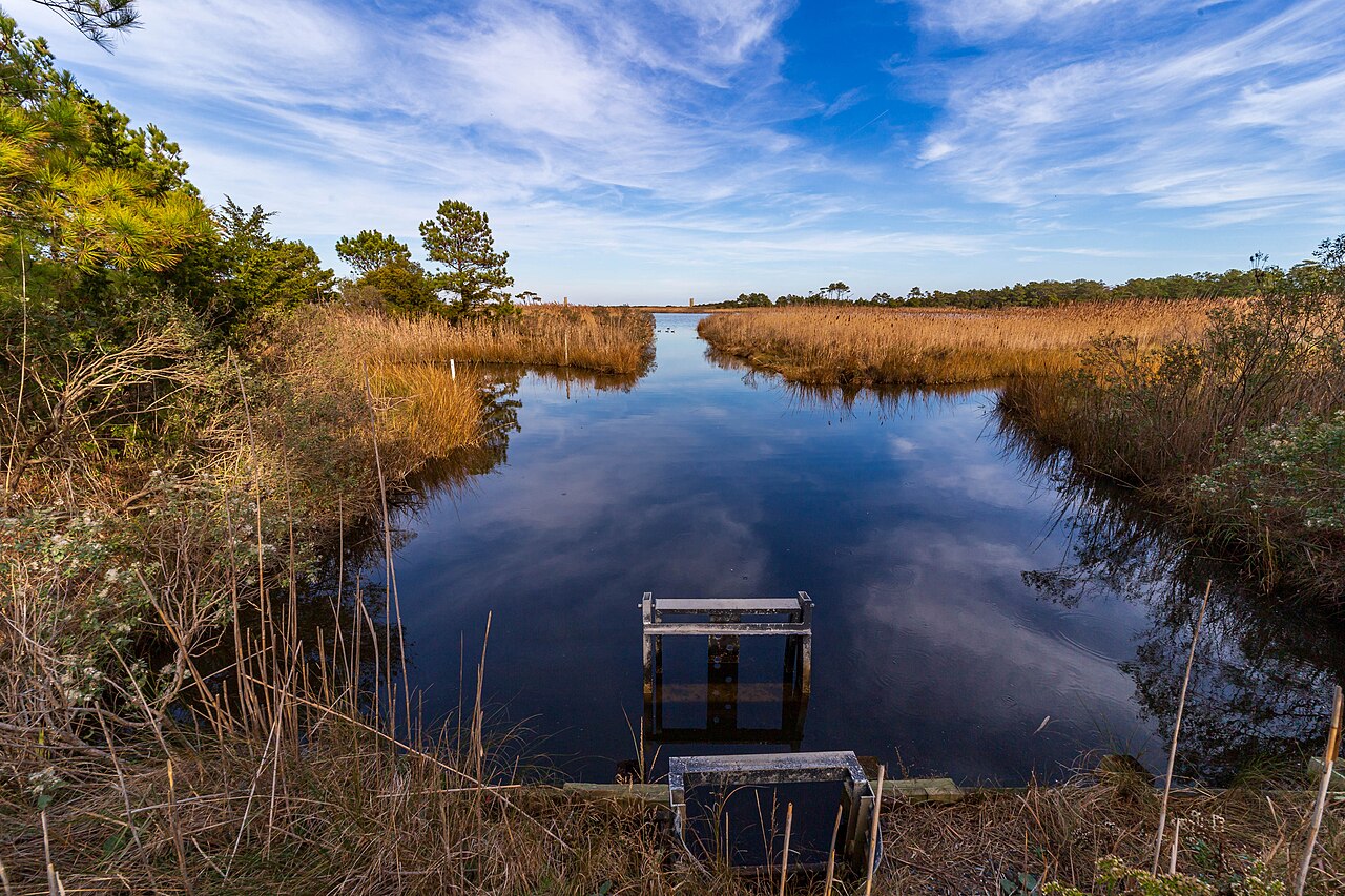 Gordons Pond Overlook