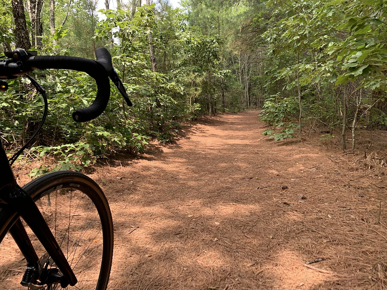 Purple Trail