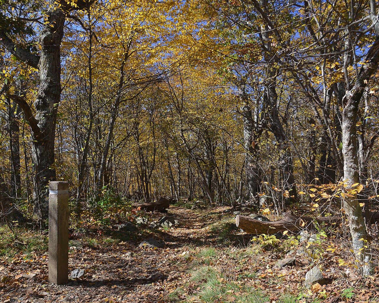 Tuscarora Trail
