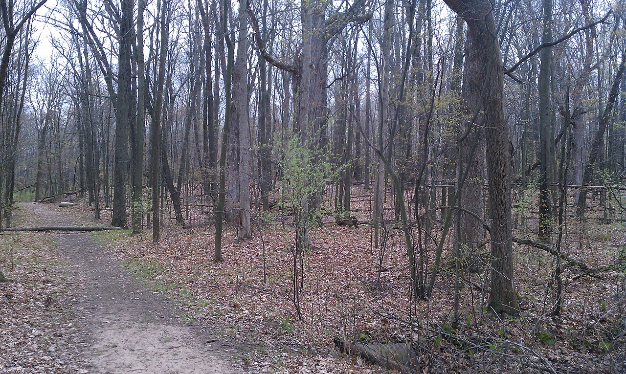 Waterloo-Pinckney Hiking Trail