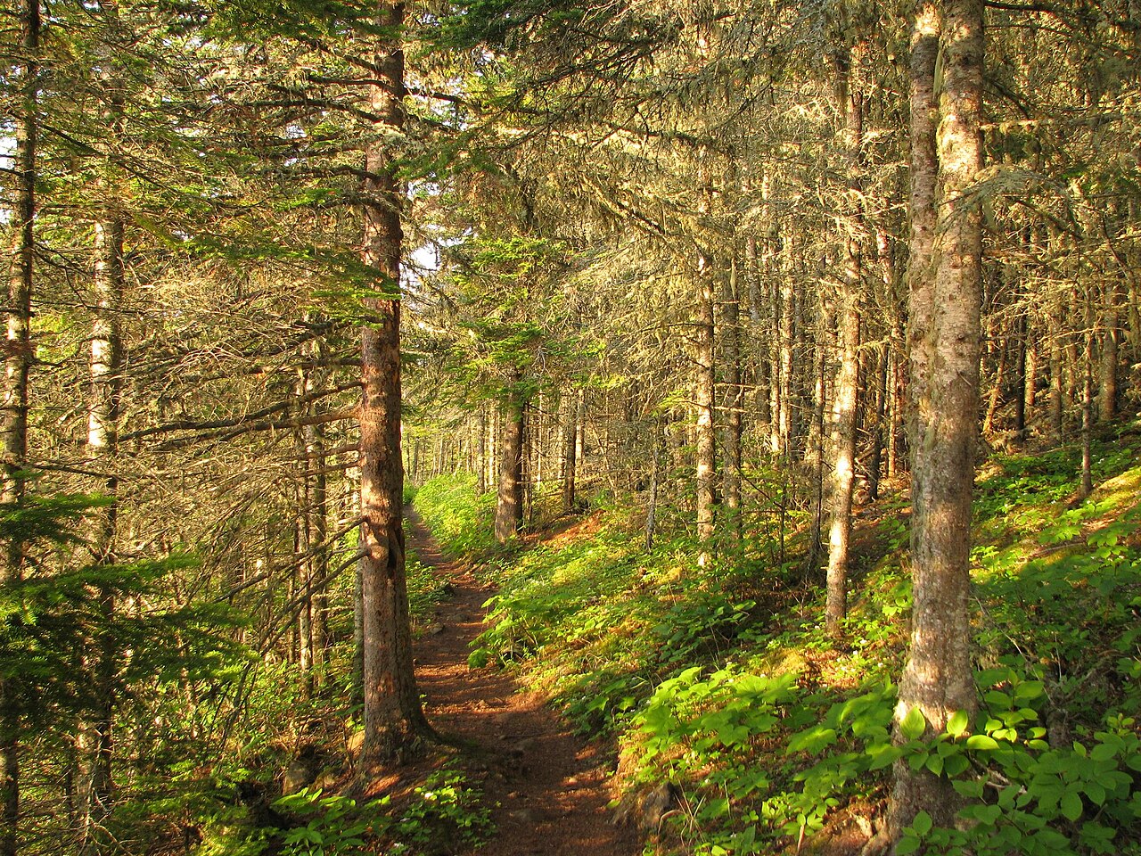 Greenstone Ridge Trail
