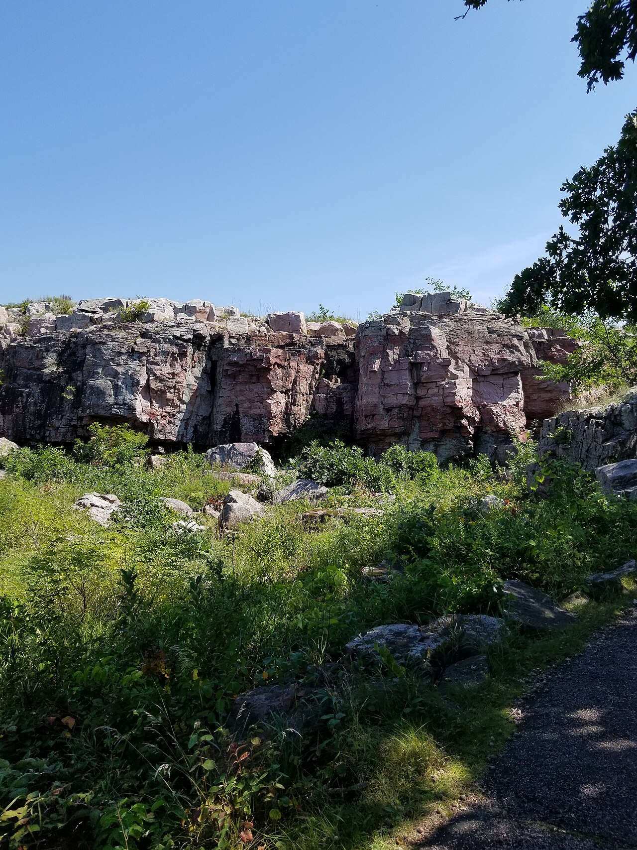 Circle Trail