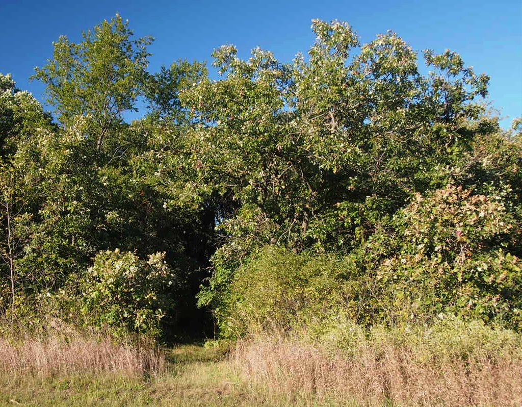 Saint Cloud and Red River Valley Stage Road