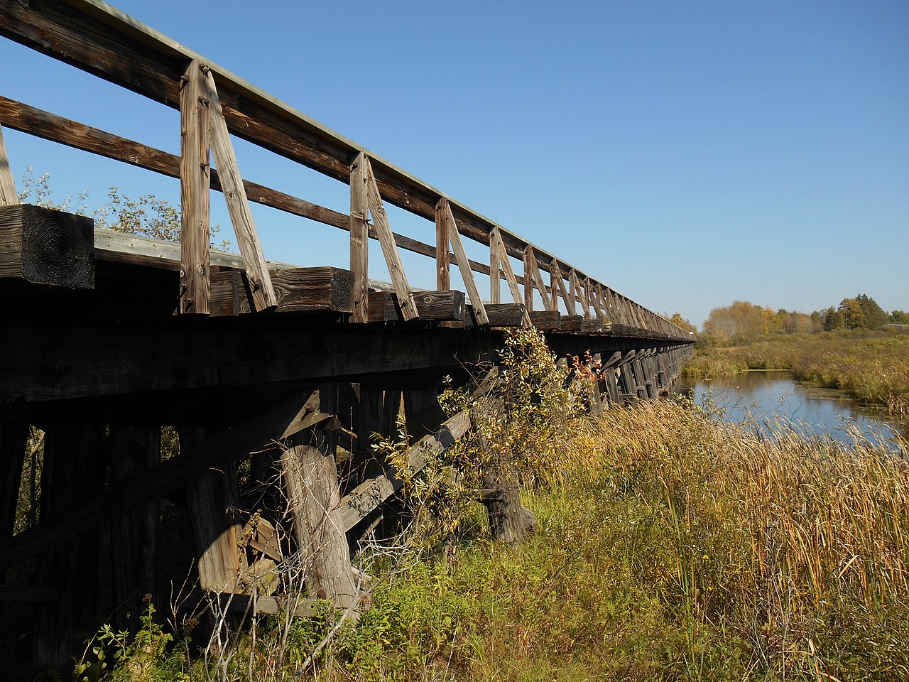 Blue Ox Trail