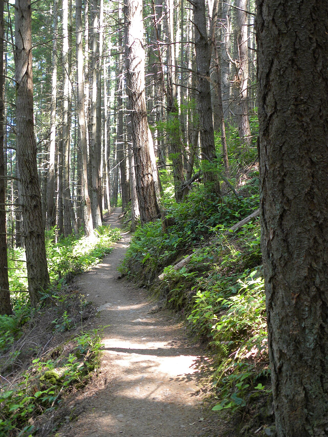 Pacific Northwest Trail 02 Idaho