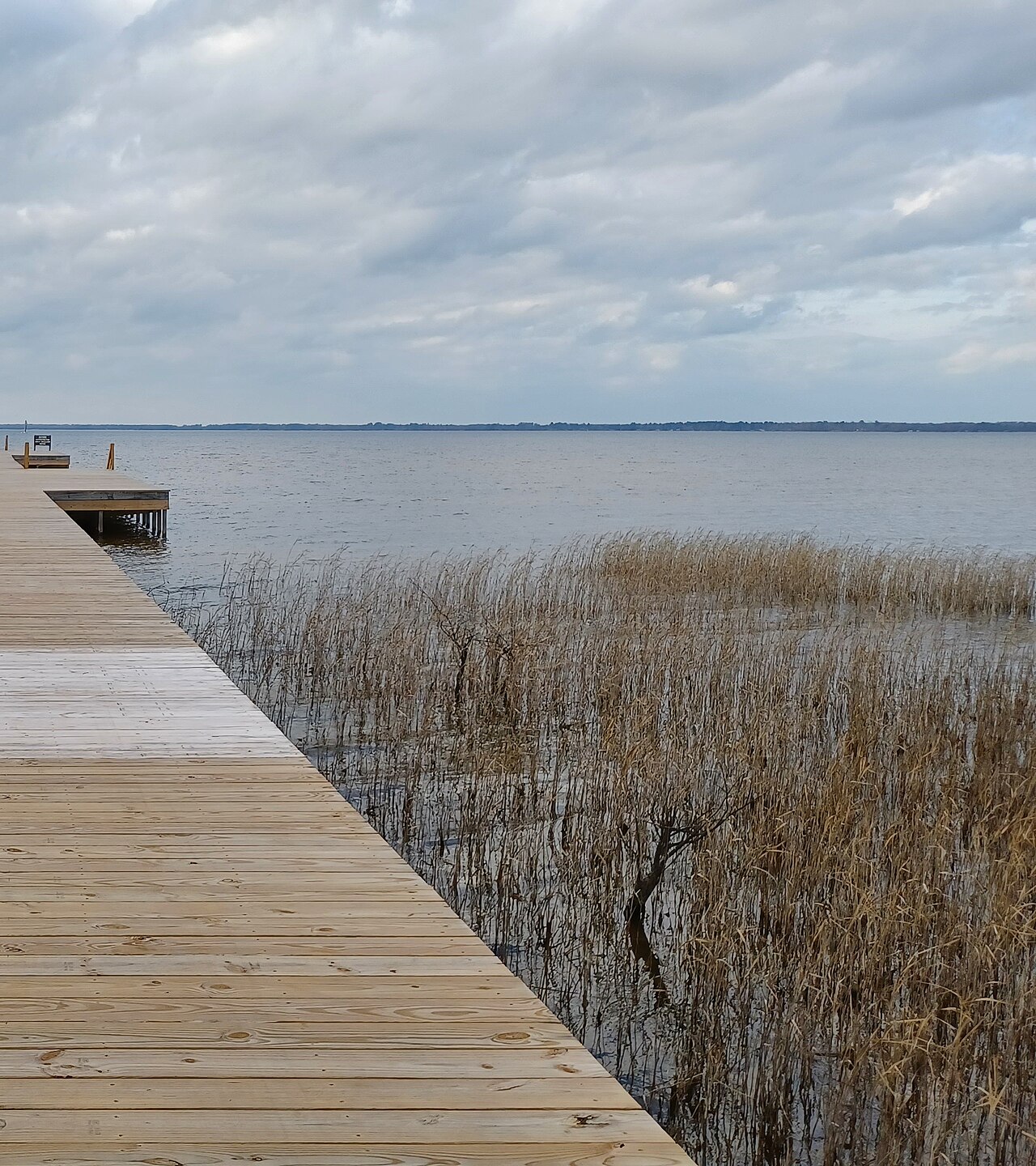 Loblolly Trail