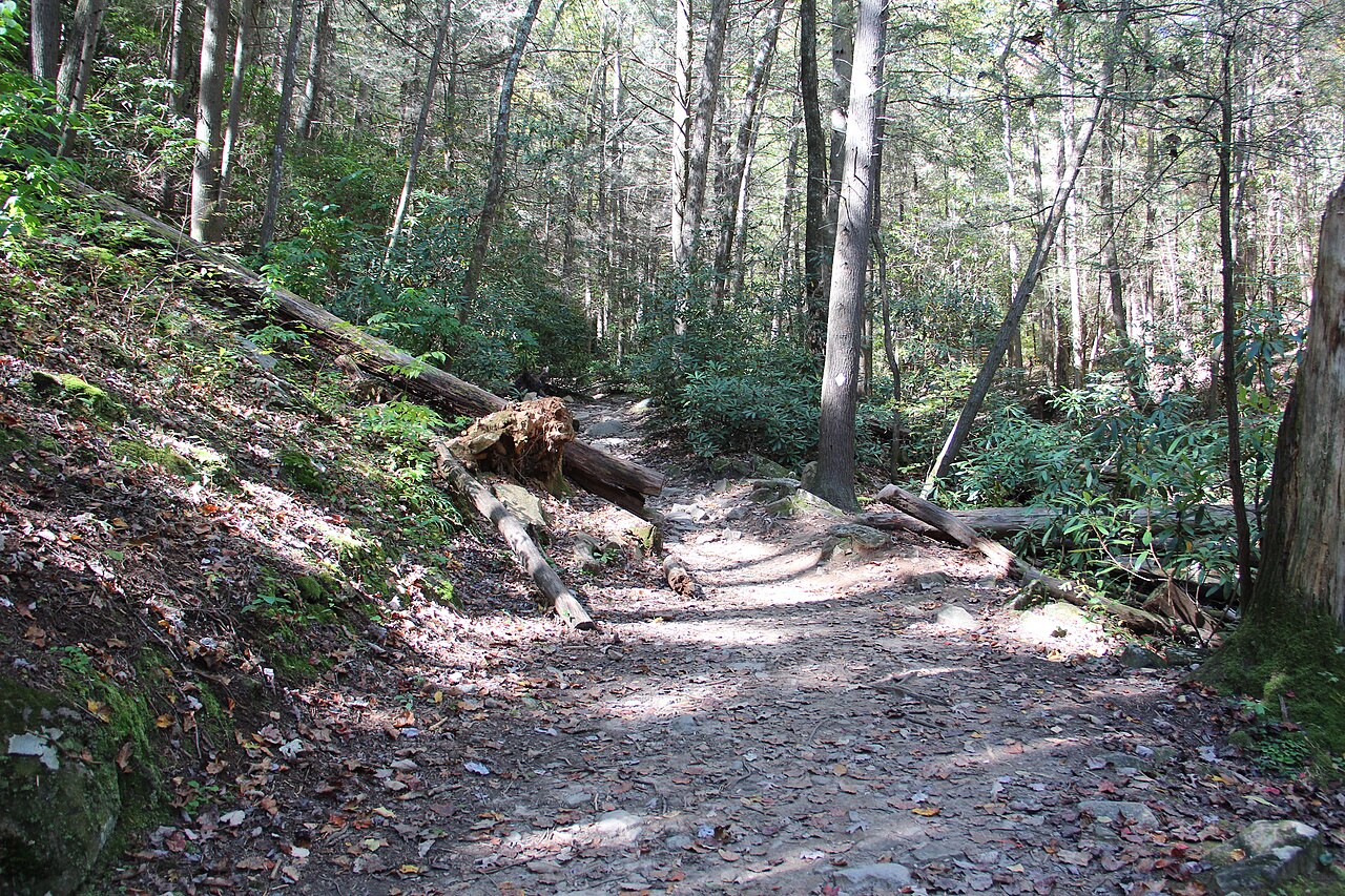 Benton MacKaye Trail