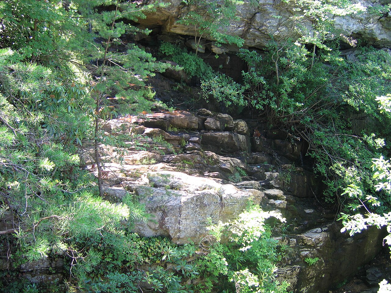 Mountain Trail Stables Connector