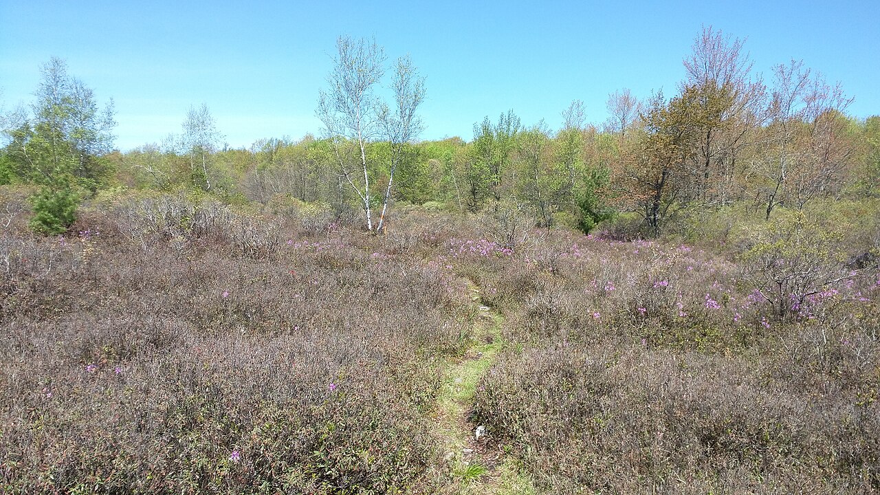Pinchot Trail System
