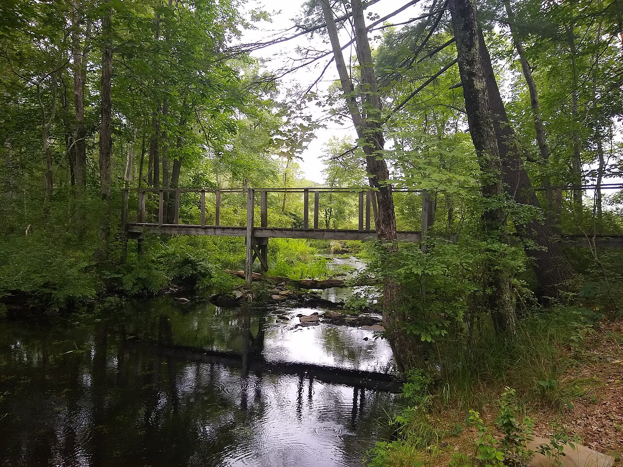 Thunder Swamp Trail System