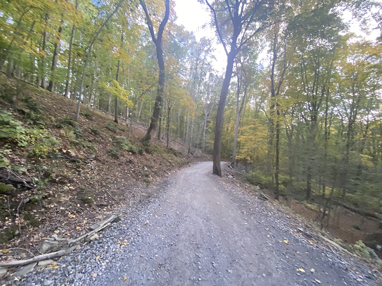 Wolfe Park - Great Hollow Lake