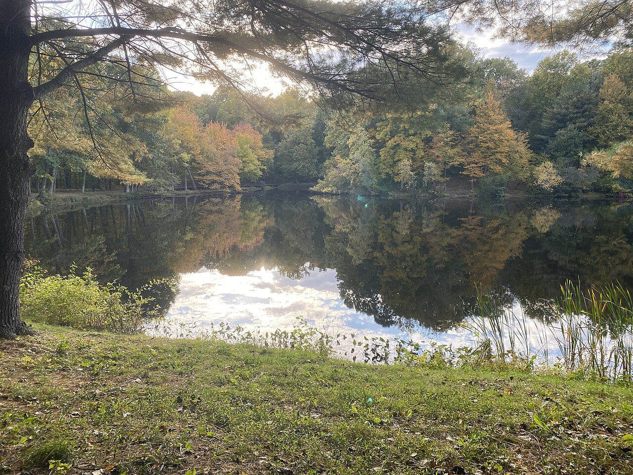 Great Hollow Lake Loop