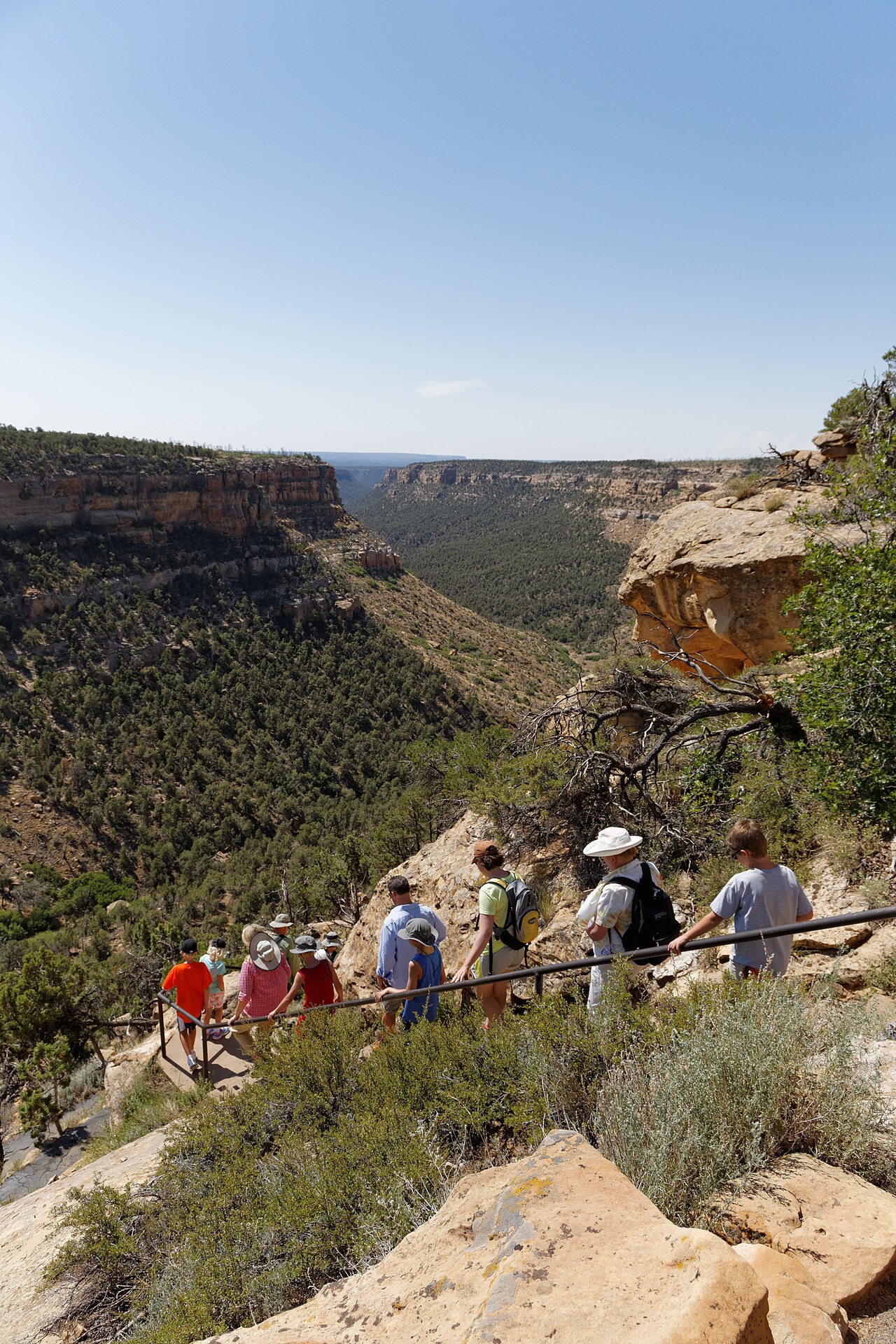 Long House Loop Trail