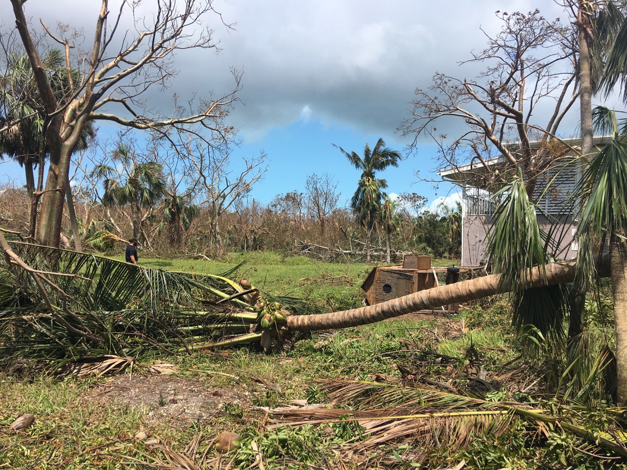 Baracoa Road