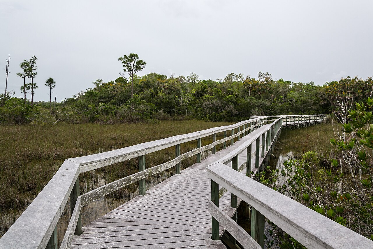 FR#11/Hiking Trail