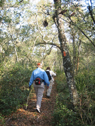 Florida National Scenic Trail - Northern Region