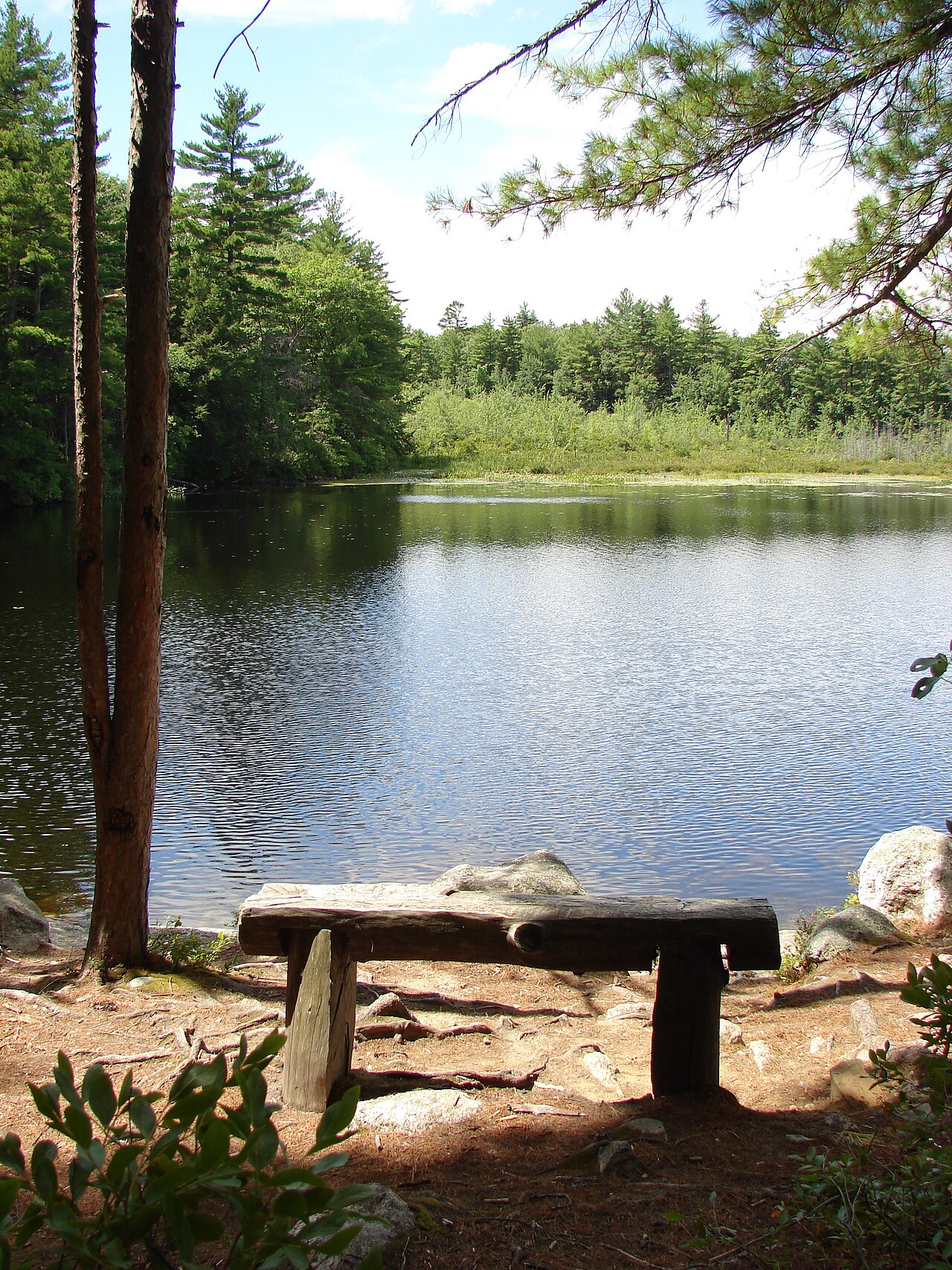 Beaver Pond Trail