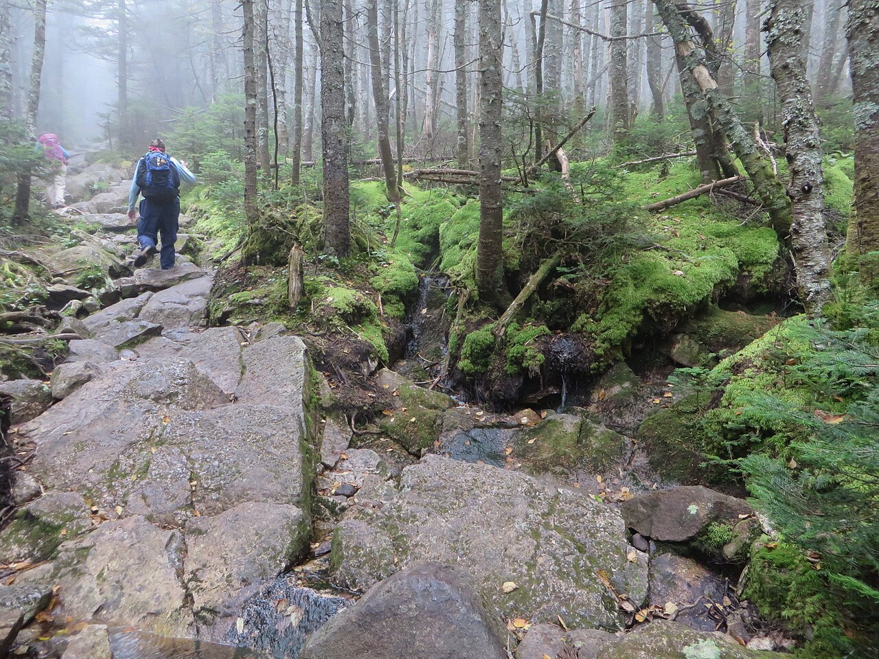 Crawford Path