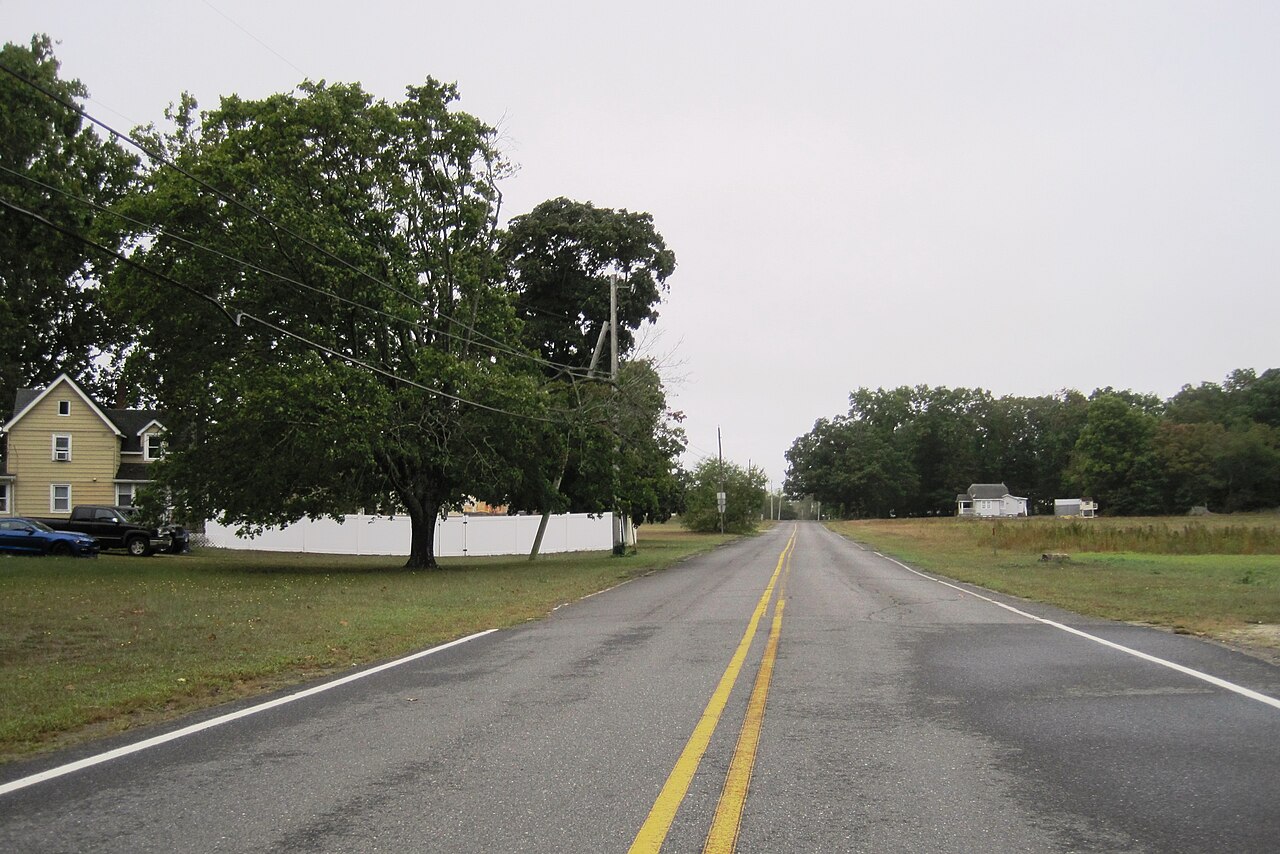 D'Allesandro Road