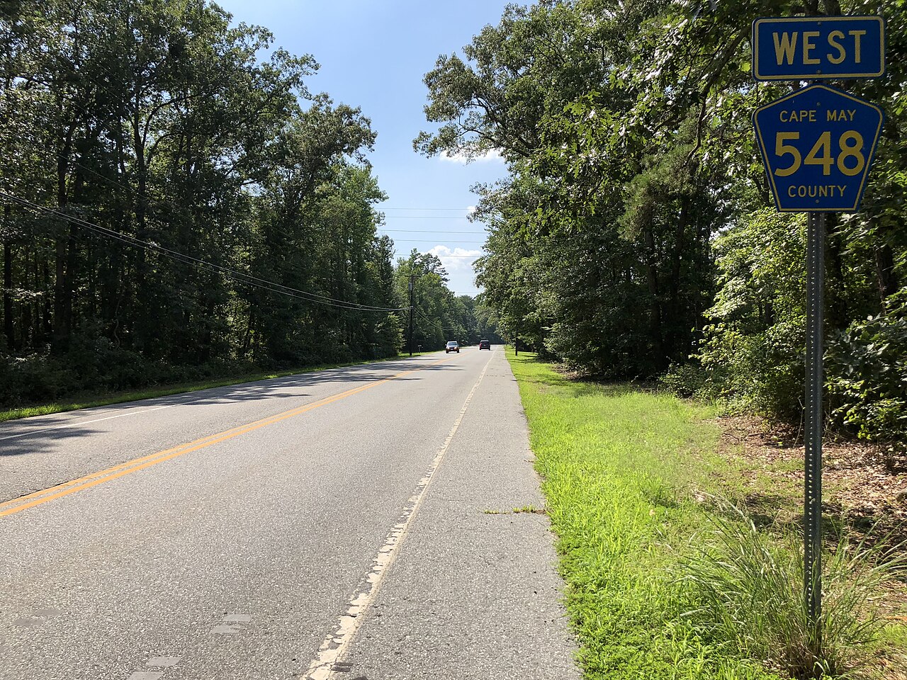 Woods Road