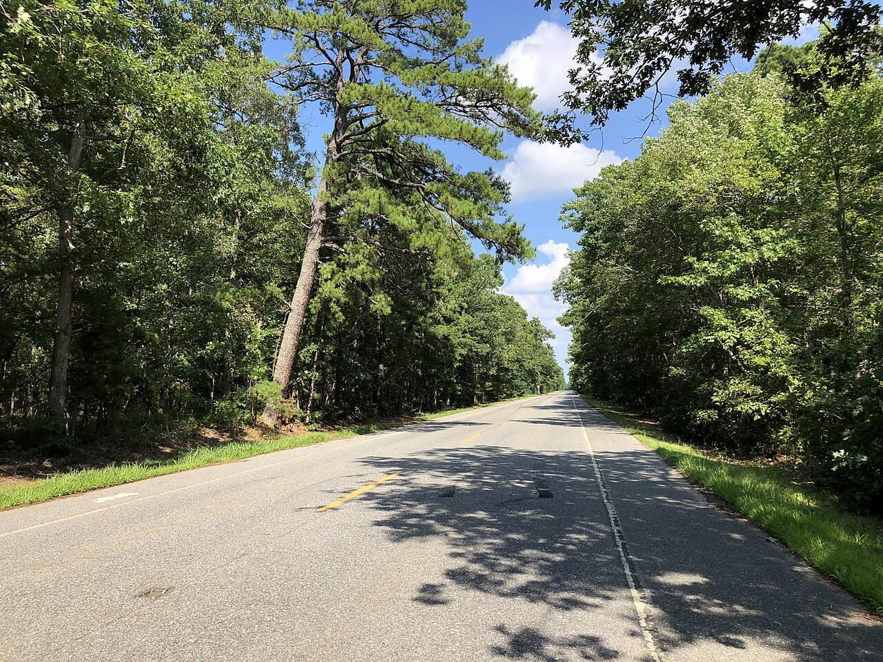 Johns Run Trail