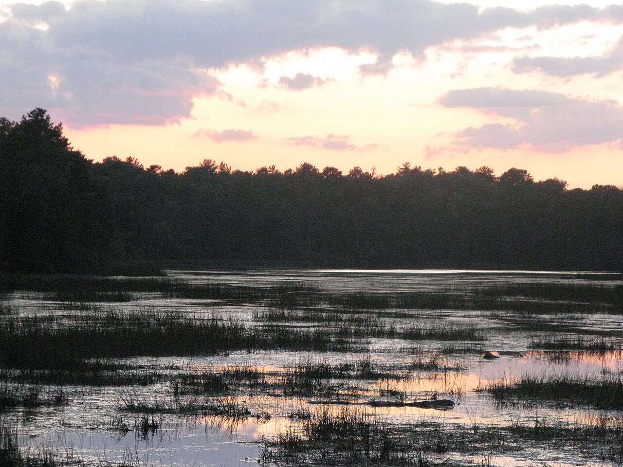 Field Loop (Yellow-dot) Trail