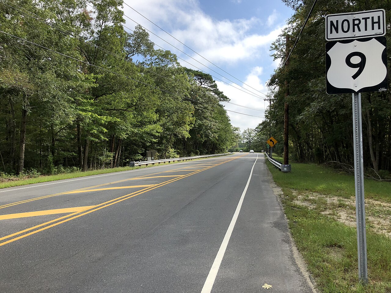 Forest Loop (Geen-dot) Trail