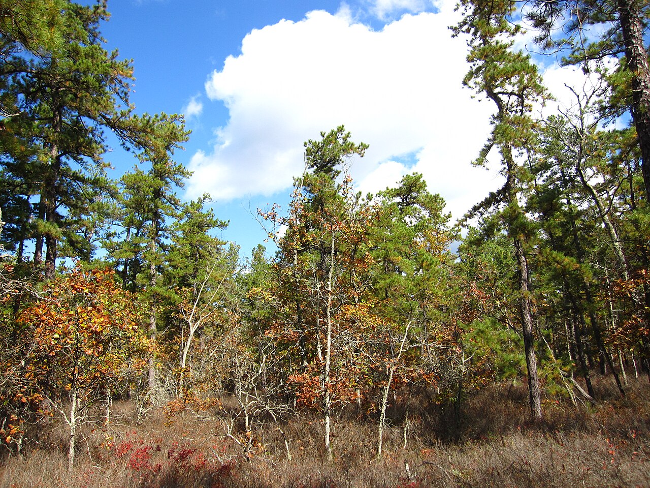 1808 Trail
