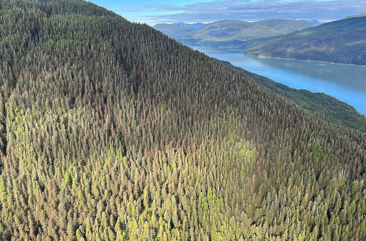 Long Lake Trail