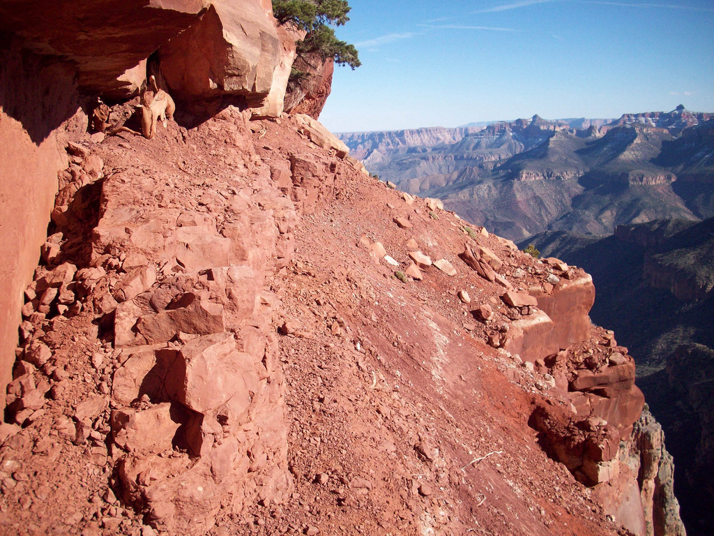 Nankoweap Trail